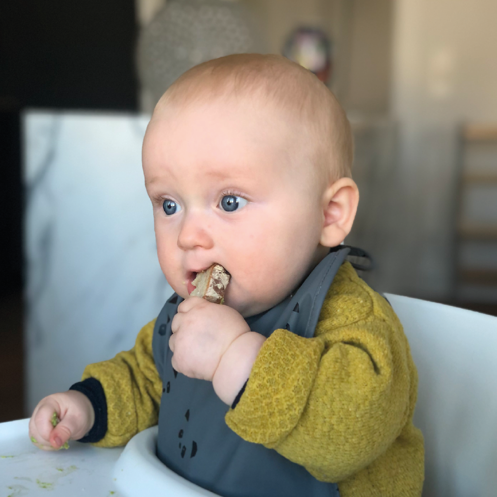 Baby Led Weaning